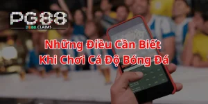 Những điều cần biết khi chơi cá độ bóng đá