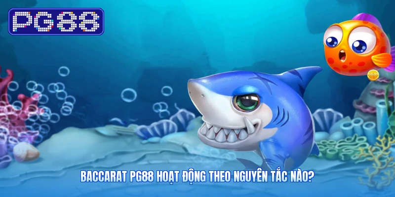 Baccarat PG88 hoạt động theo nguyên tắc nào?