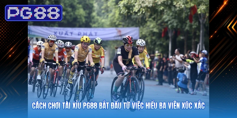 Cách Chơi Tài Xỉu PG88 Bắt Đầu Từ Việc Hiểu Ba Viên Xúc Xắc