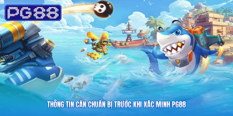 Thông Tin Cần Chuẩn Bị Trước Khi Xác Minh PG88